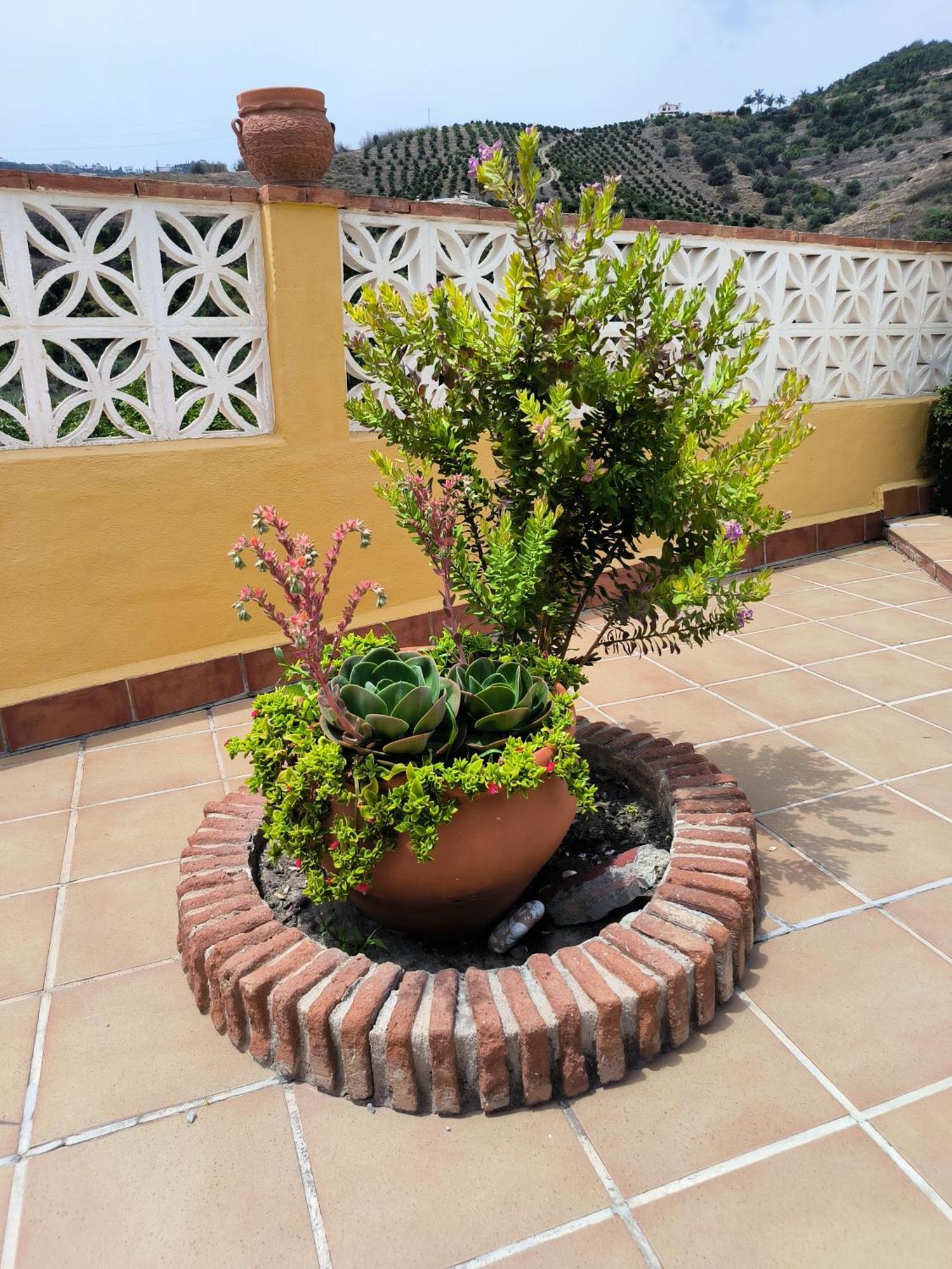 Вилла Cortijo Maria Gomez Малага Экстерьер фото