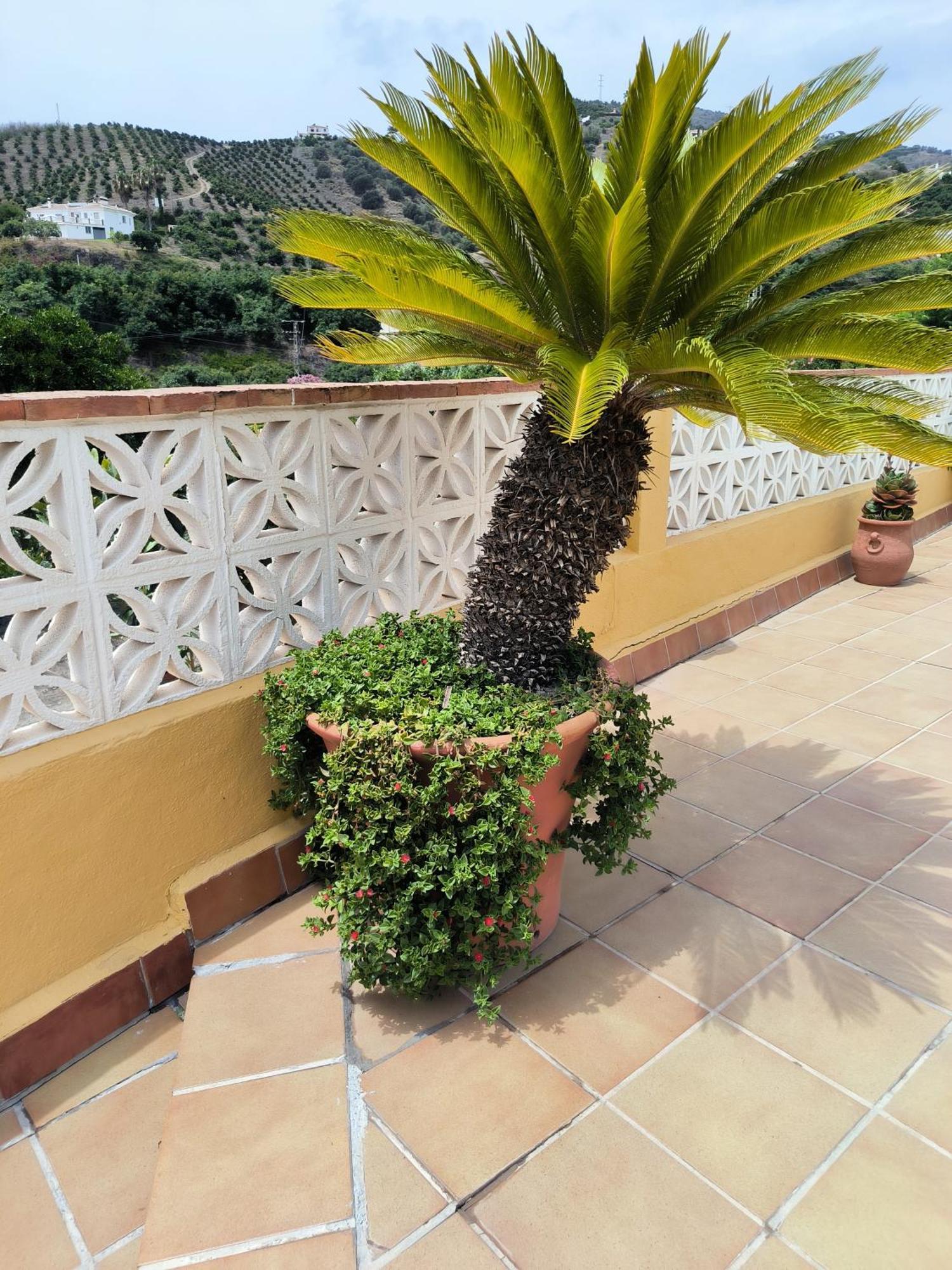 Вилла Cortijo Maria Gomez Малага Экстерьер фото
